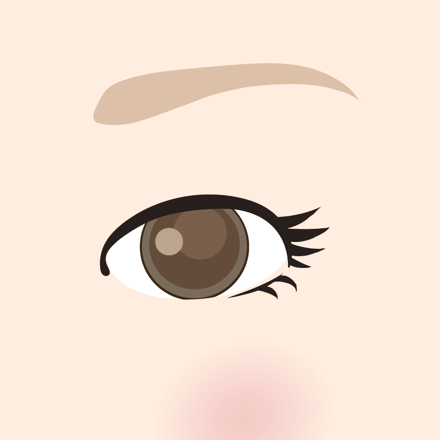 解説イラスト